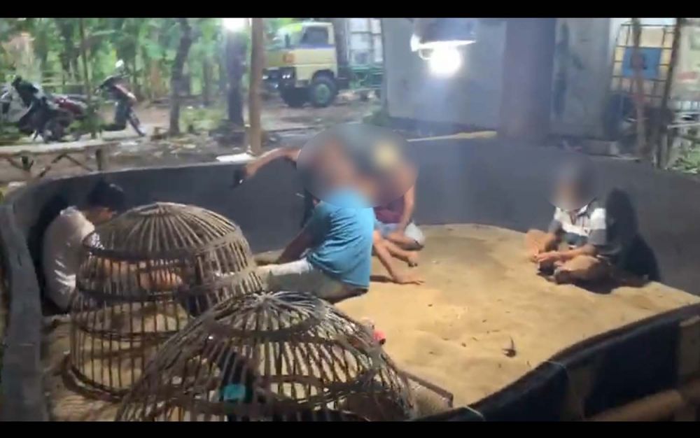 Arena judi sabung ayam digerebek Tim Resmob Satreskrim Polres Mojokerto