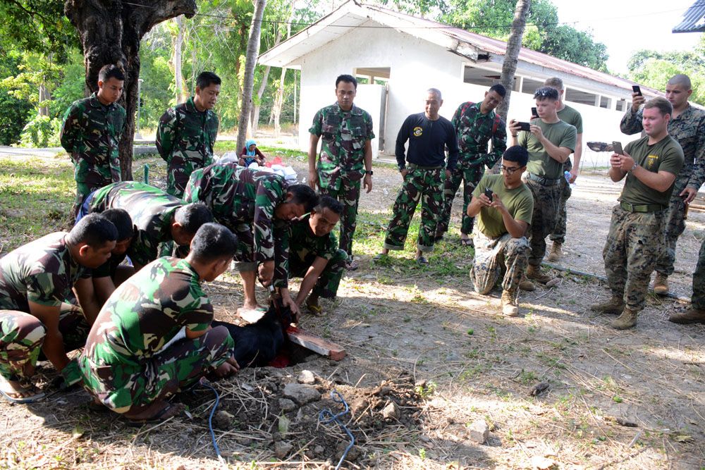 Penyembelihan kurban di sela latihan bersama Platex di Situbondo