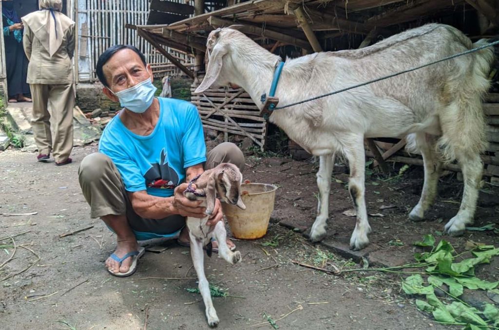 Samiyo, warga Ponorogo menunjukkan kambing berkaki dua miliknya