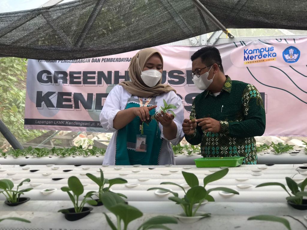 Mahasiswa UMSurabaya Gagas Kampoeng Hidroponik di Tengah Kota