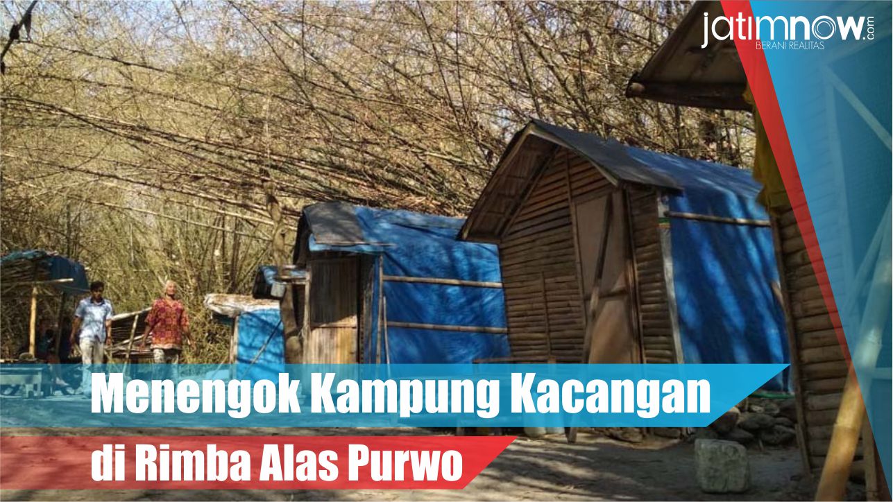 Video: Menengok Kampung Kacangan di Rimba Alas Purwo