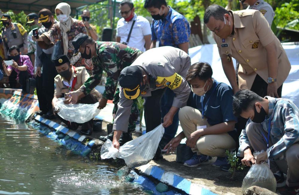 Warga Kampung Tangguh Semeru di Kota Probolinggo sulap selokan kotor jadi kolam ikan nila
