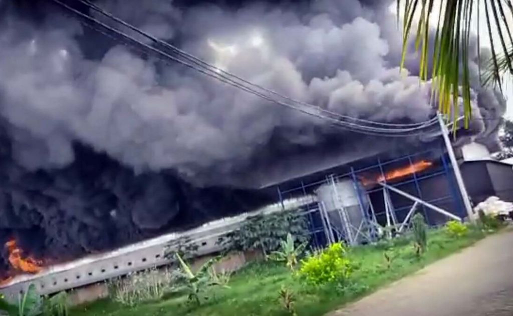 Kobaran api dan kepulan asap dalam kebakaran kandang peternakan ayam di Pasuruan