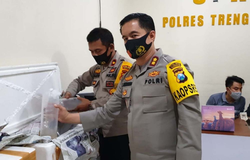 Kapolres Trenggalek AKBP Doni Satria Sembiring menunjukkan baby lobster ilegal yang diungkap tim khusus bentukannya