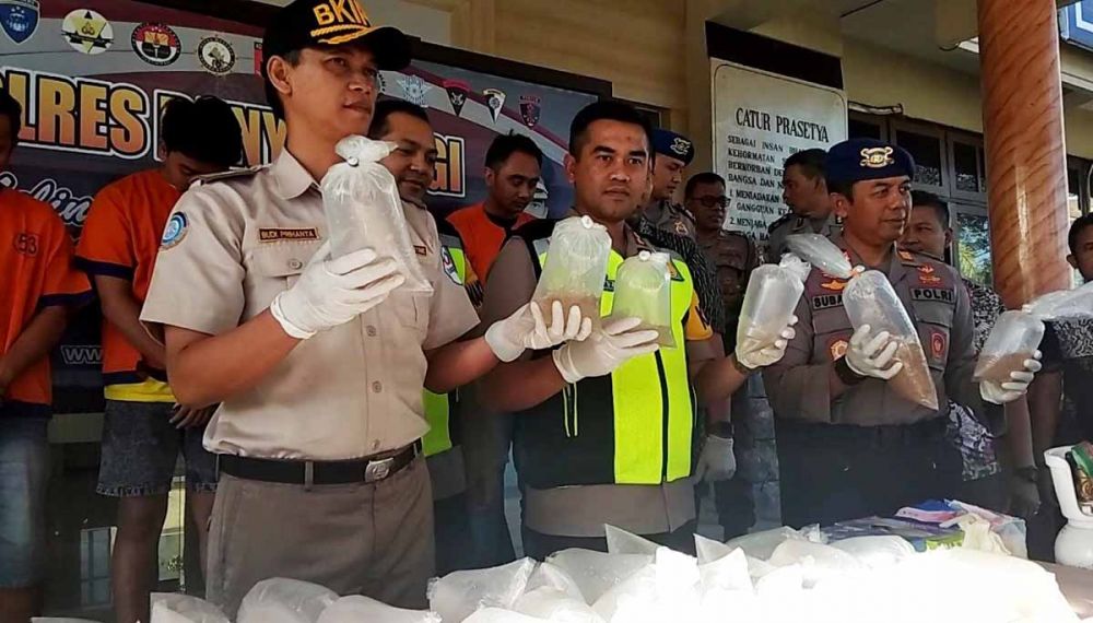 Barang bukti benih lobster dan para pelaku penyelundupan dibeber di Mapolres Banyuwangi