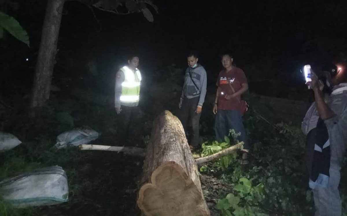 Polsek Banyuputih Polres Situbondo bersama Petugas Taman Nasional Baluran menyita kayu hasil curian