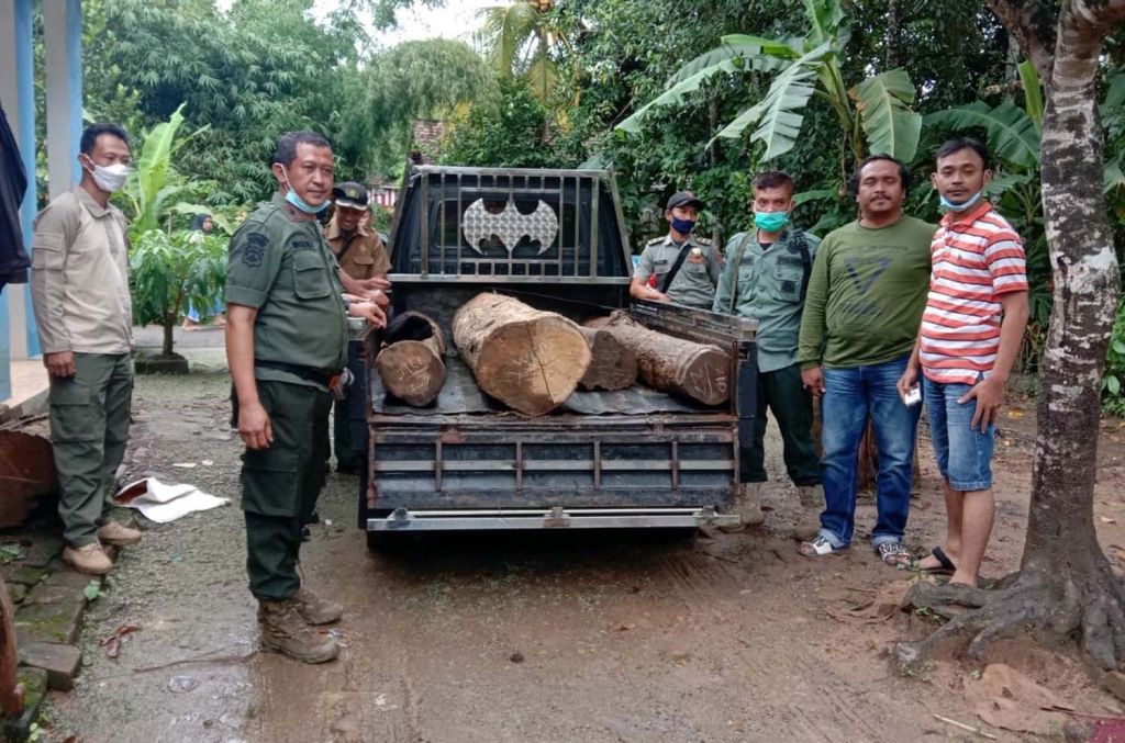 Kayu jati ilegal yang disita dari salah satu rumah warga di Banyuwangi