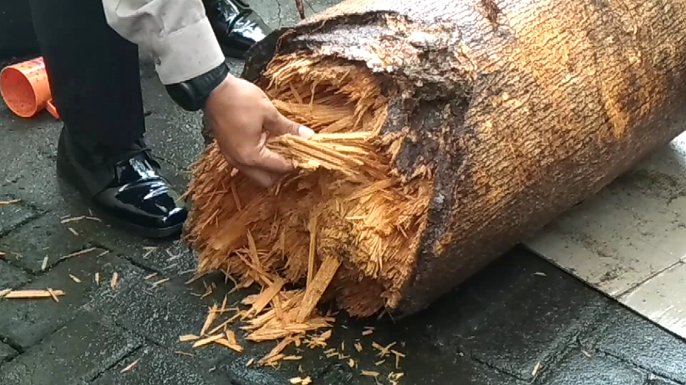 Barang bukti kayu yang menyebabkan tewasnya Nizam Dwi Sarifudin dibawa ke Polsek Rogojampi.