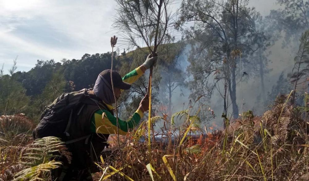 Kebakaran di Curah Seriti Gunung Arjuno berhasil dipadamkan