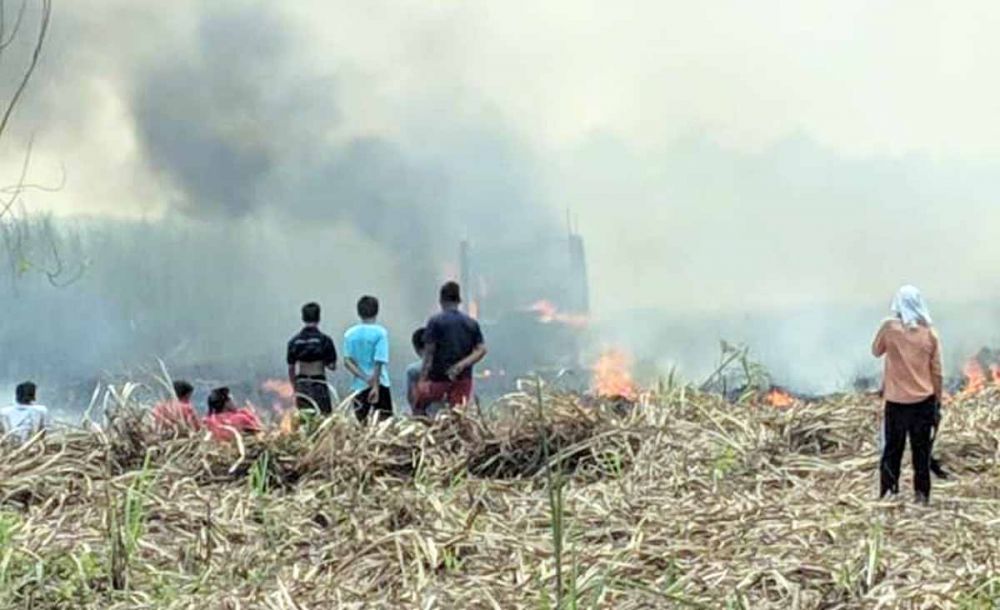 Lahan tebu yang terbakar di Mojokerto