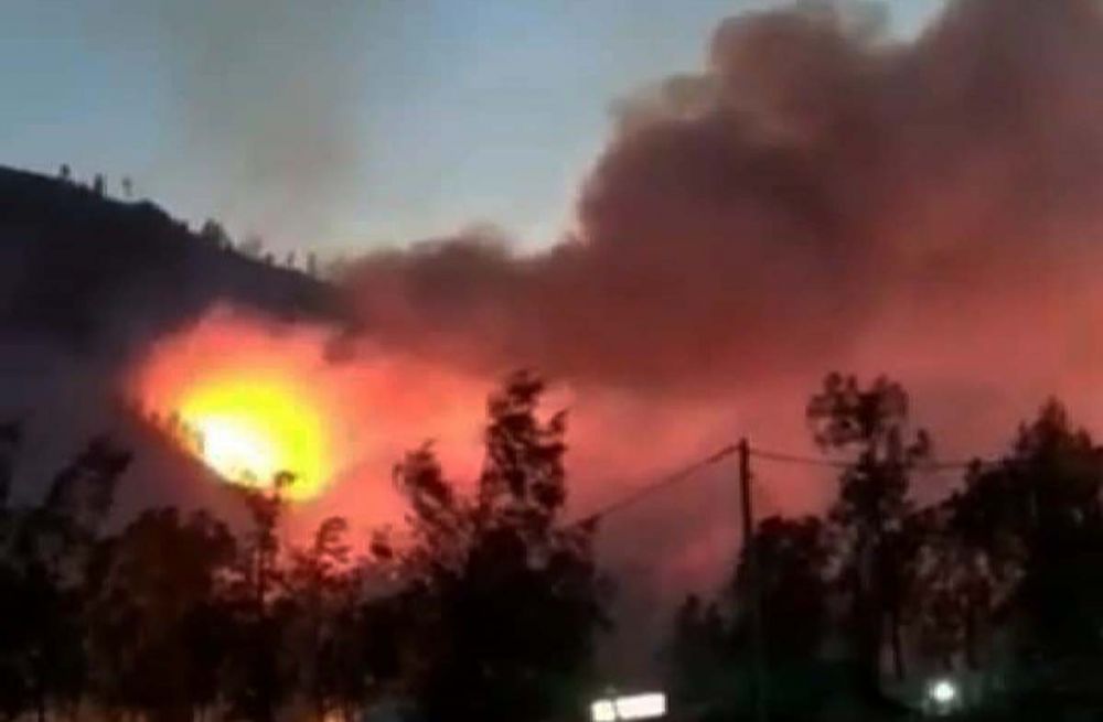 Kebakaran hutan di Gunung Meranti