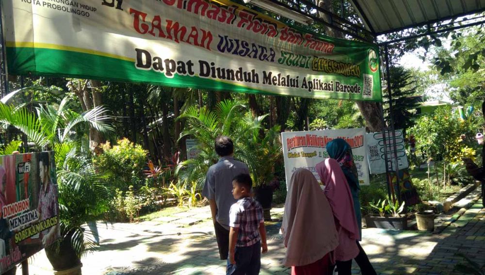 2 Ekor Harimau Bakal Jadi Koleksi Kebun Binatang Mini Kota Probolinggo