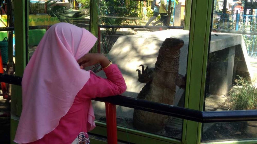 Kebun Binatang Mini Kota Probolinggo