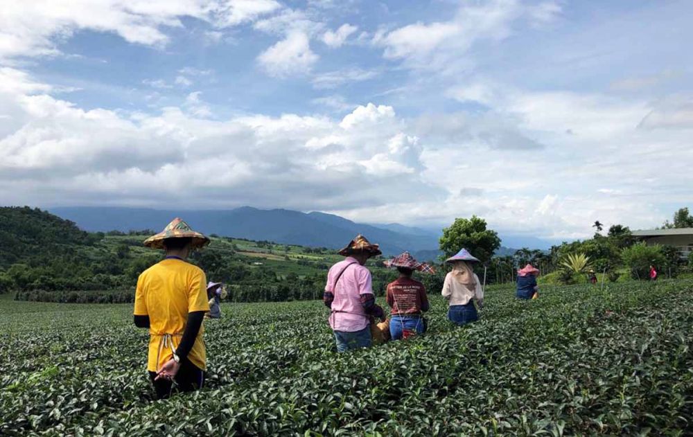 Agro Wisata Chulu, Taitung, Taiwan (foto-foto: Jajeli Rois/jatimnow.com)