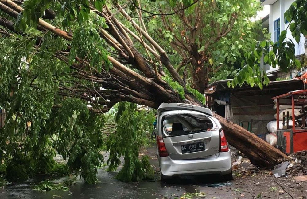 Mobil Suzuki Karimun rusak tertimpa pohon akibat hujan angin di Kota Kediri (Foto-foto: Ahmada @ahmadamuh)