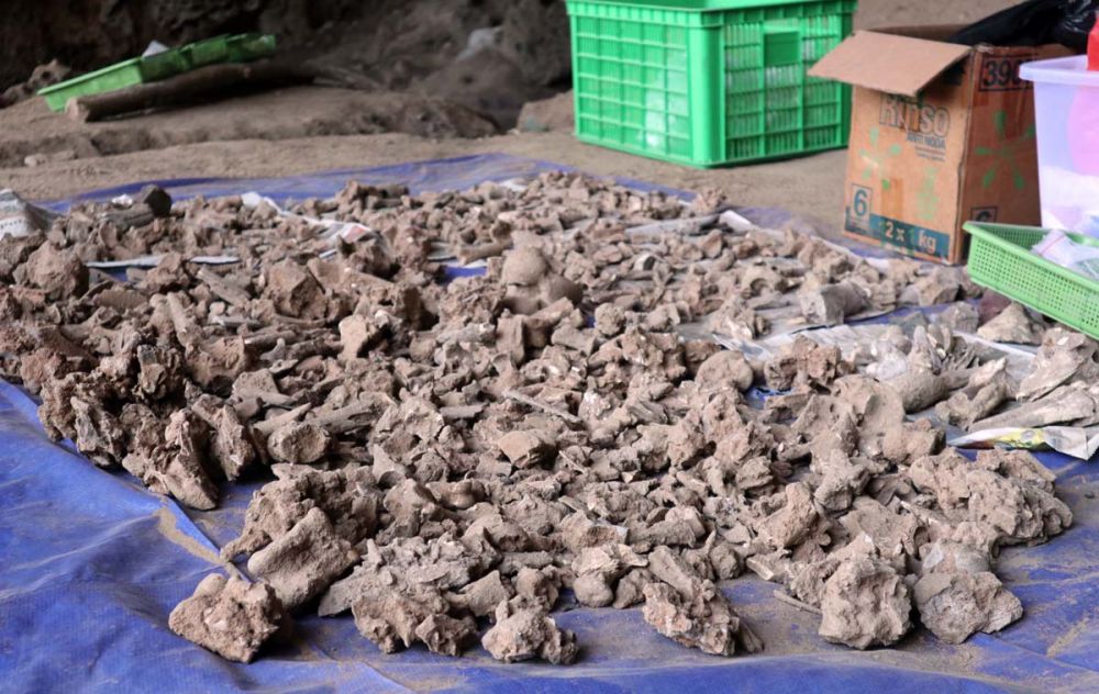 Kepingan Sejarah Manusia Purba di Gua Lowo Ponorogo Dibawa ke Jakarta