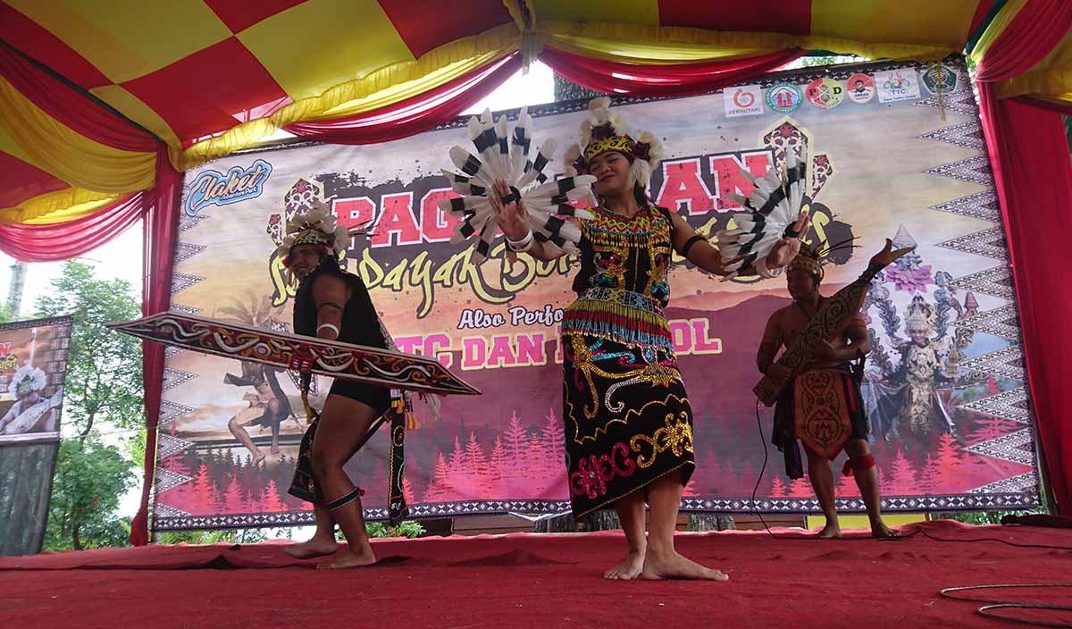 Kesenian Dayak ditampilkan di Claket Adventure Park, Pacet, Mojokerto untuk menghibur para wisatawan