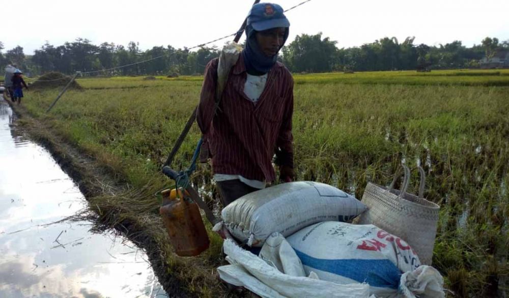 Slamet Riyadi, mantan TKI asal Ponorogo yang saat ini menjadi buruh tani