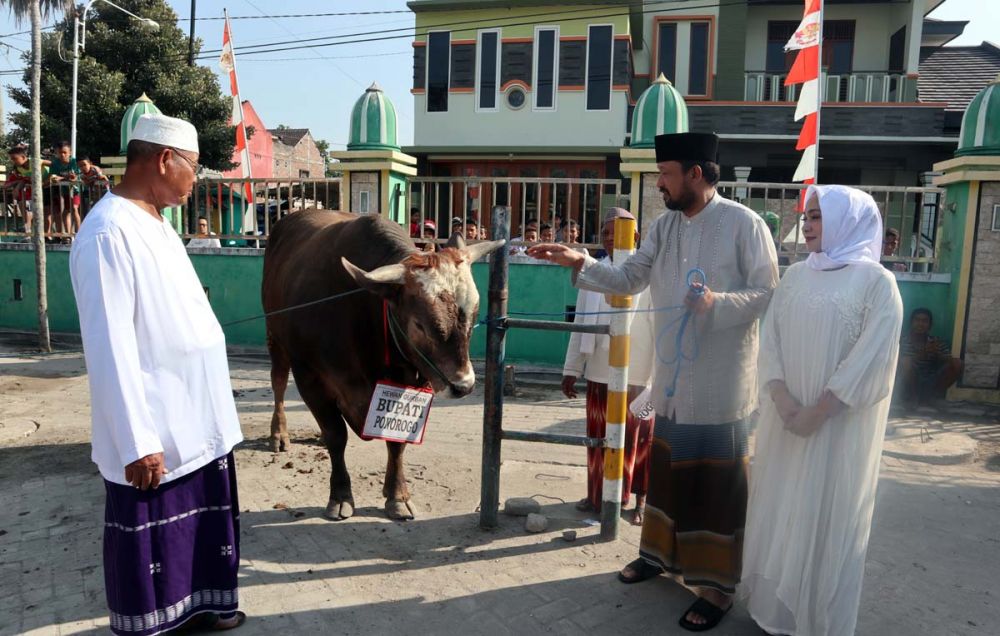 Bupati Ipong menyerahkan sapi yang dikurbankan di Masjid Agung RMAA Tjokronegoro, Ponorogo