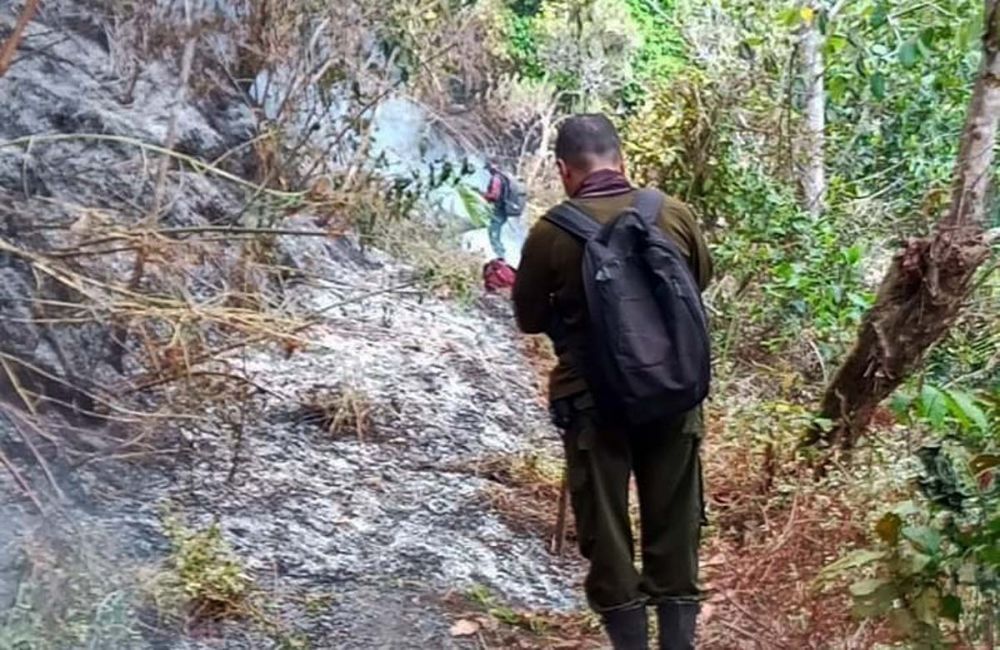 Anggota BPBD Magetan dan Polhut memadamkan api yang membakar lahan di Lereng Gunung Lawu