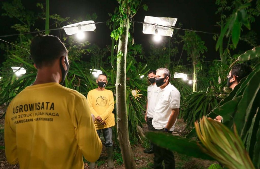 Listrik untuk Sang Naga Banyuwangi sabet penghargaan Indonesian CSR Awards (ICA) 2020