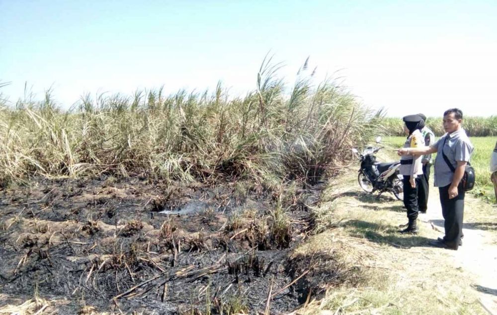 Gara-gara Balon Udara, 2 Hektar Lebih Lahan Tebu di Magetan Terbakar