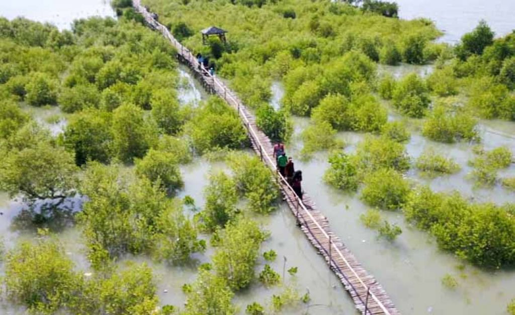 Program "Pusat Restorasi dan Pembelajaran Mangrove (PRPM) Mengare" Petrokimia Gresik