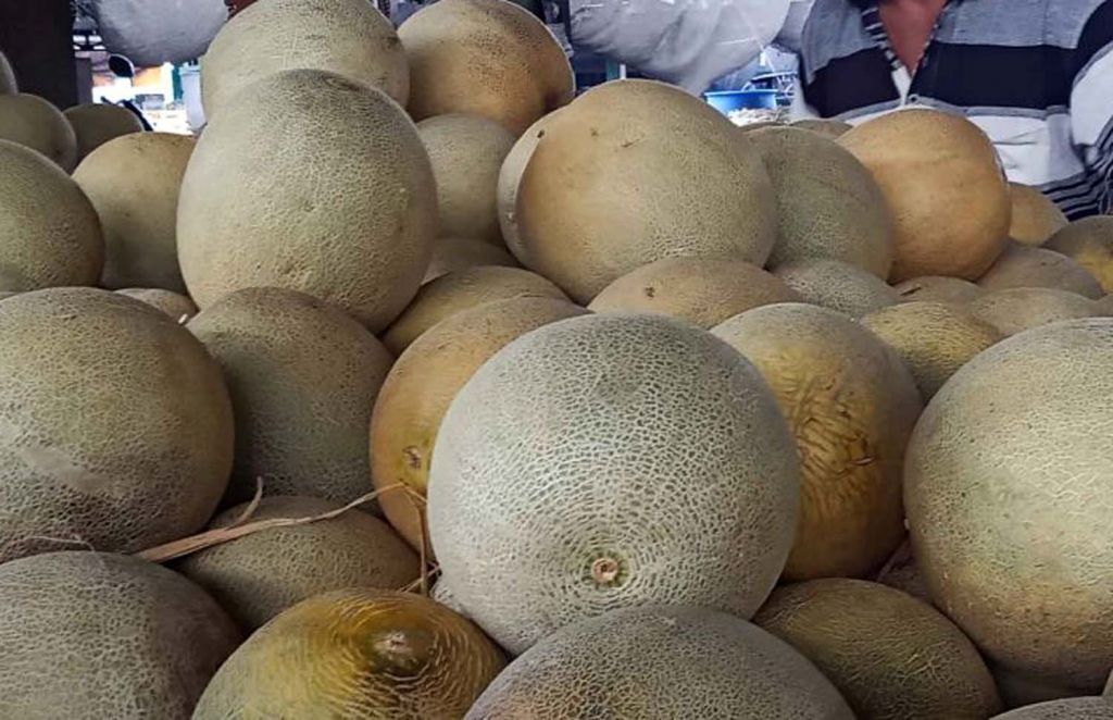 Rock Melon asal Blitar Jadi Favorit Pelanggan PIOS