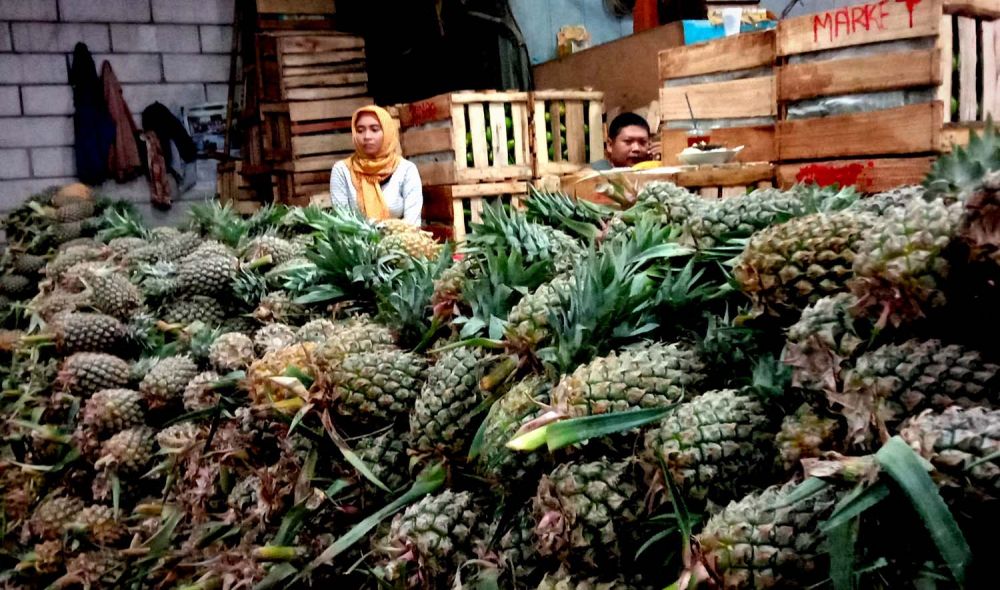 PIOS Pasok Nanas Segar dari Kalimantan
