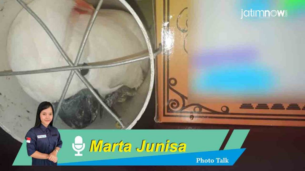 Photo Talk: Penggagalan Penyelundupan Burung 