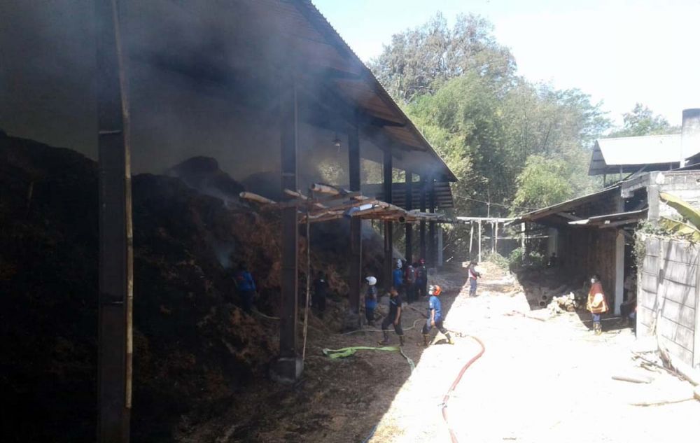 Petugas pemadam kebakaran berusaha memadamkan api yang membakar pabrik penggilingan tebu tradisional di Blitar 