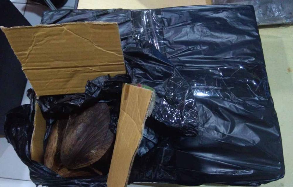 Paket berisi serabut kelapa yang dirakit pelaku sebagai sarana mencuri HP korban