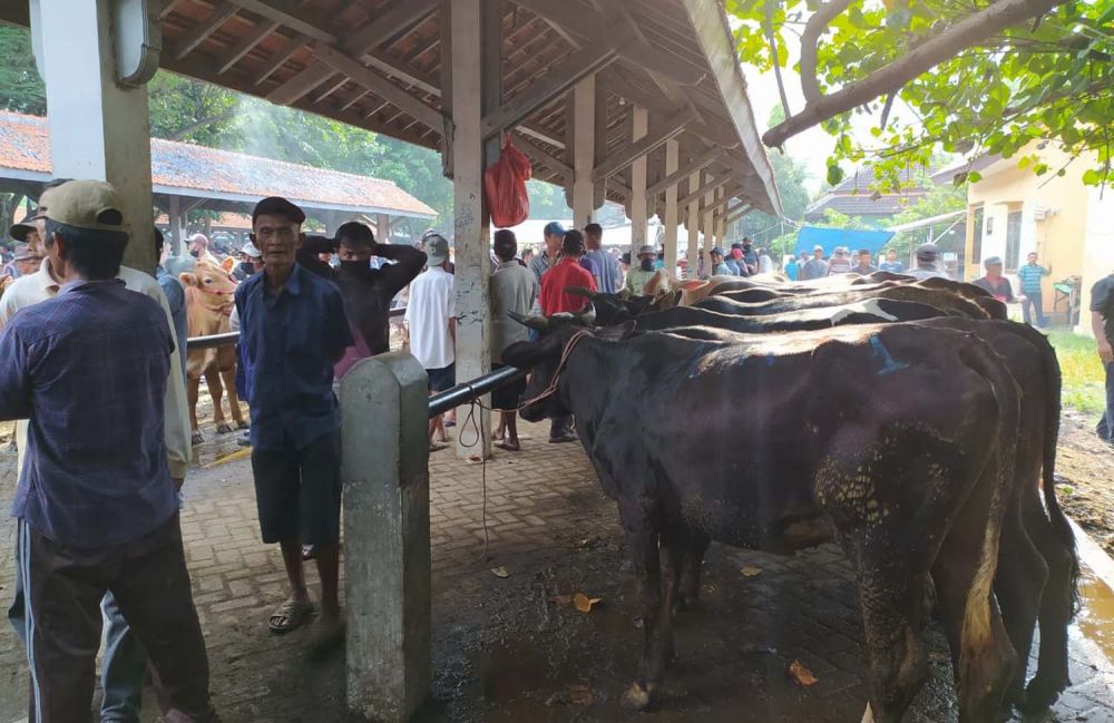 Pasar ternak di Kelurahan Jrebeng Kidul, Kecamatan Wonoasih, Kota Probolinggo
