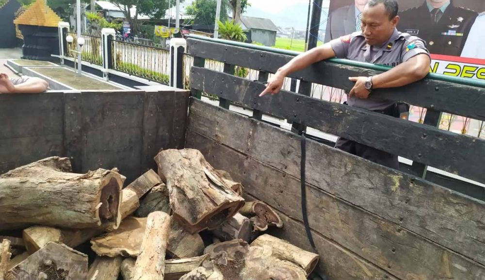 Barang bukti kayu Sonokeling yang diamankan