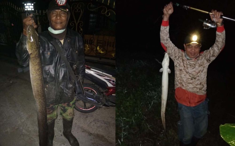 Slamet dan Uny saat berburu ikan sidat di Sungai Stail Kalibaru, Banyuwangi