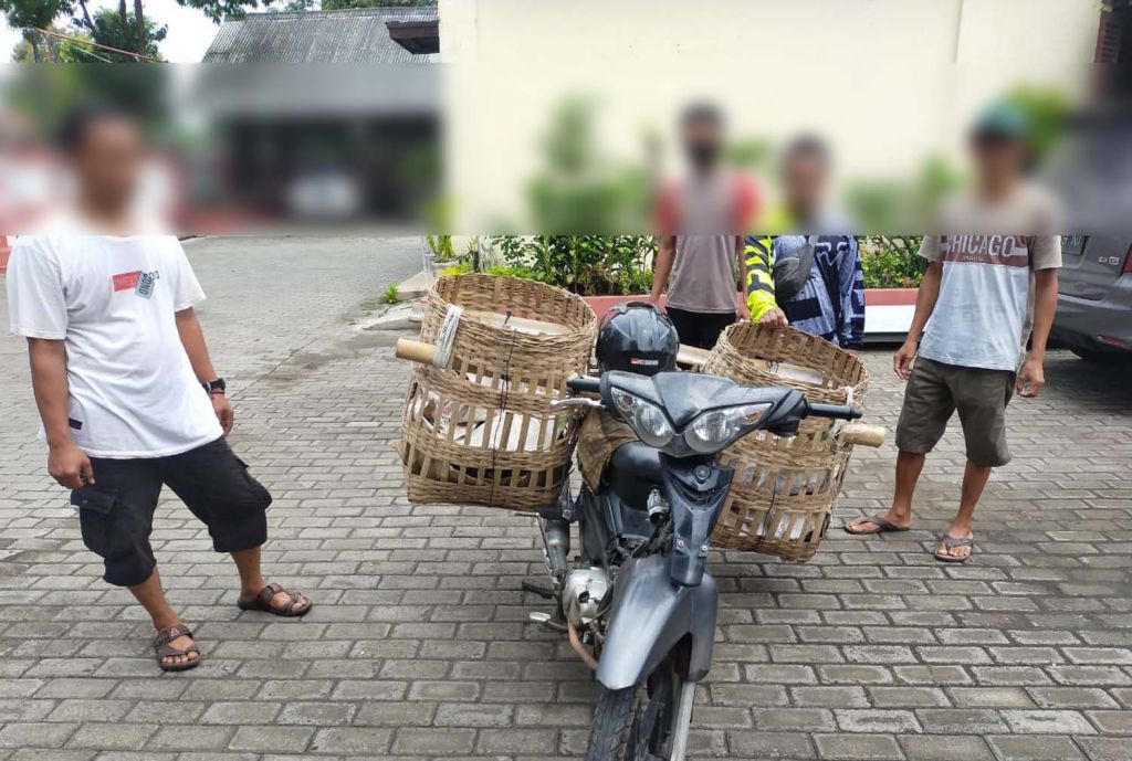 Rakusnya Pemulung ini, Tak Dapat Barang Bekas, HP Pun Diembat