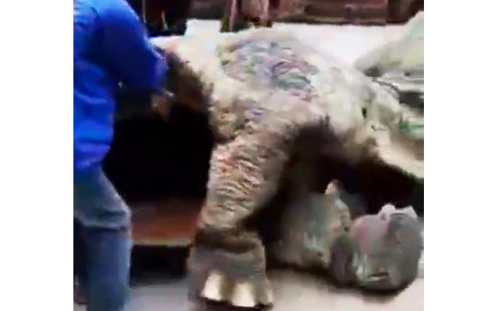 Tangkapan layar penampakan dinosaurus di Gunung Lawu, Magetan yang viral