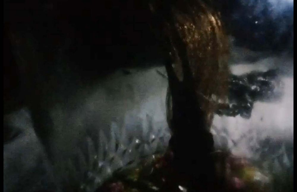 Penampakan jenglot yang ditangkap warga di Desa Licin, Banyuwangi