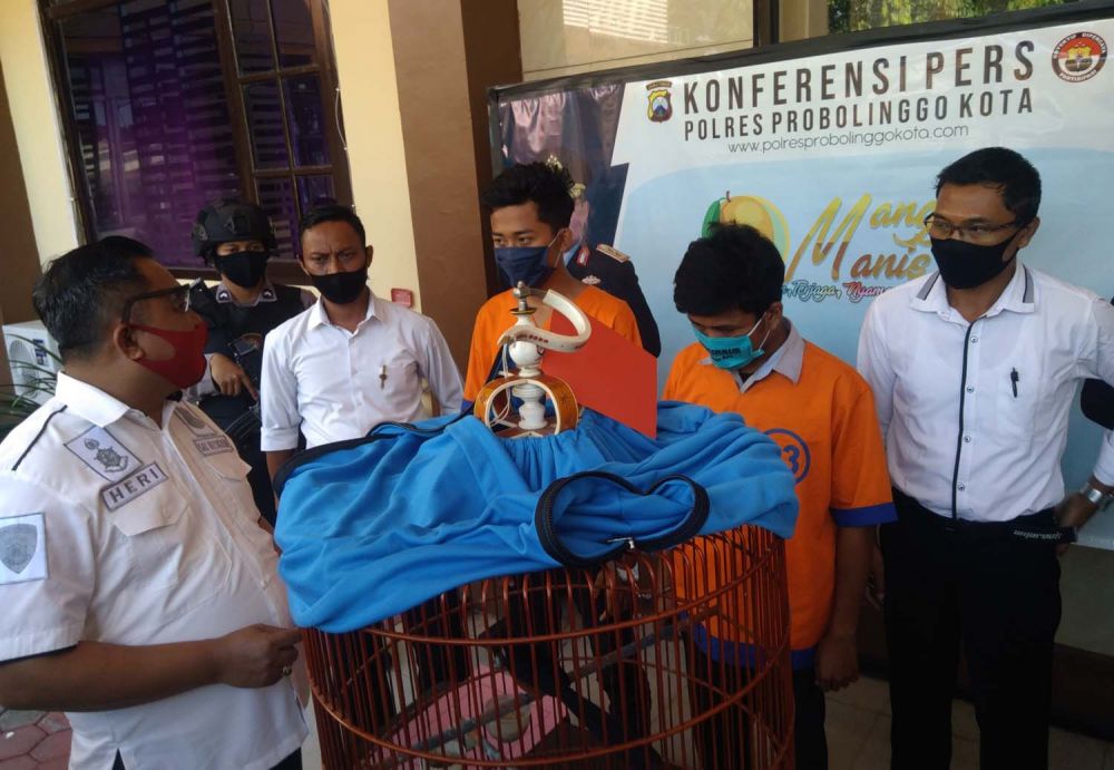 Dua bersaudara pencuri burung murai diamankan di Mapolres Probolinggo Kota