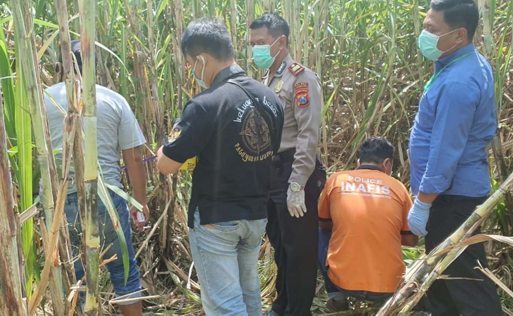 Kerangka Manusia Ditemukan dalam Ladang Tebu di Jombang
