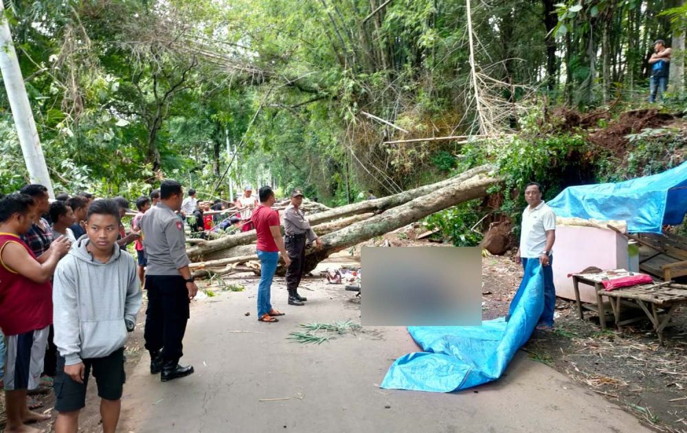 Proses evakuasi pengendara motor asal Madiun yang tewas tertimpa pohon di Jogorogo, Ngawi