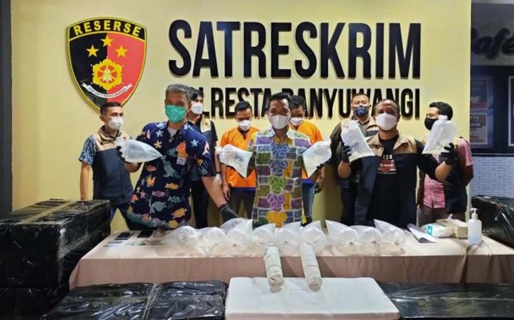 Ekspor Benih Lobster Ilegal Senilai Rp 1,5 Miliar ke Vietnam Digagalkan