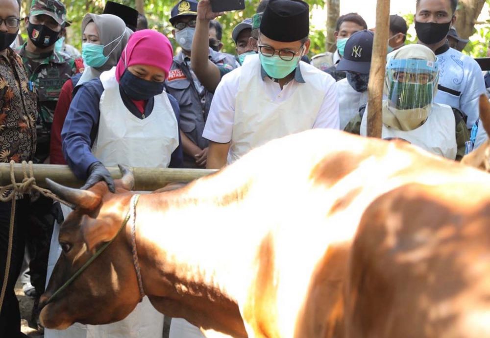 Gubernur Jatim Khofifah Indar Parawansa meninjau penjualan hewan kurban secara online di Bangkalan, Madura
