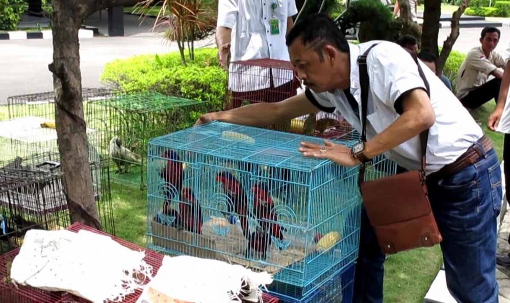 Burung-burung dilindungi diamankan petugas di Kantor Dipolair Polda Jatim di Perak Surabaya