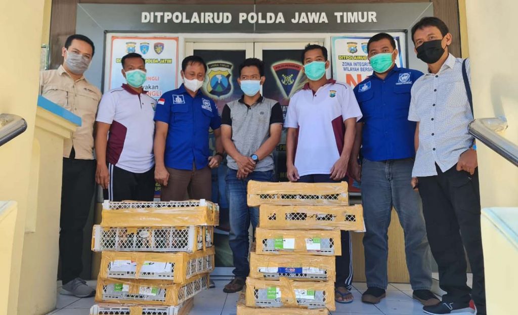 Penyelundupan Ratusan Burung Dilindungi dari Balikpapan ke Surabaya Digagalkan