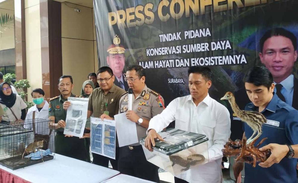 Perdagangan Satwa Dilindungi Jaringan Internasional Dibongkar