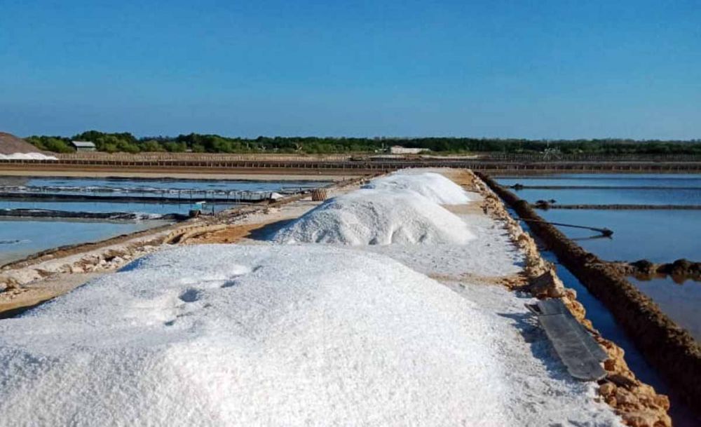 Garam yang dihasilkan para petambak