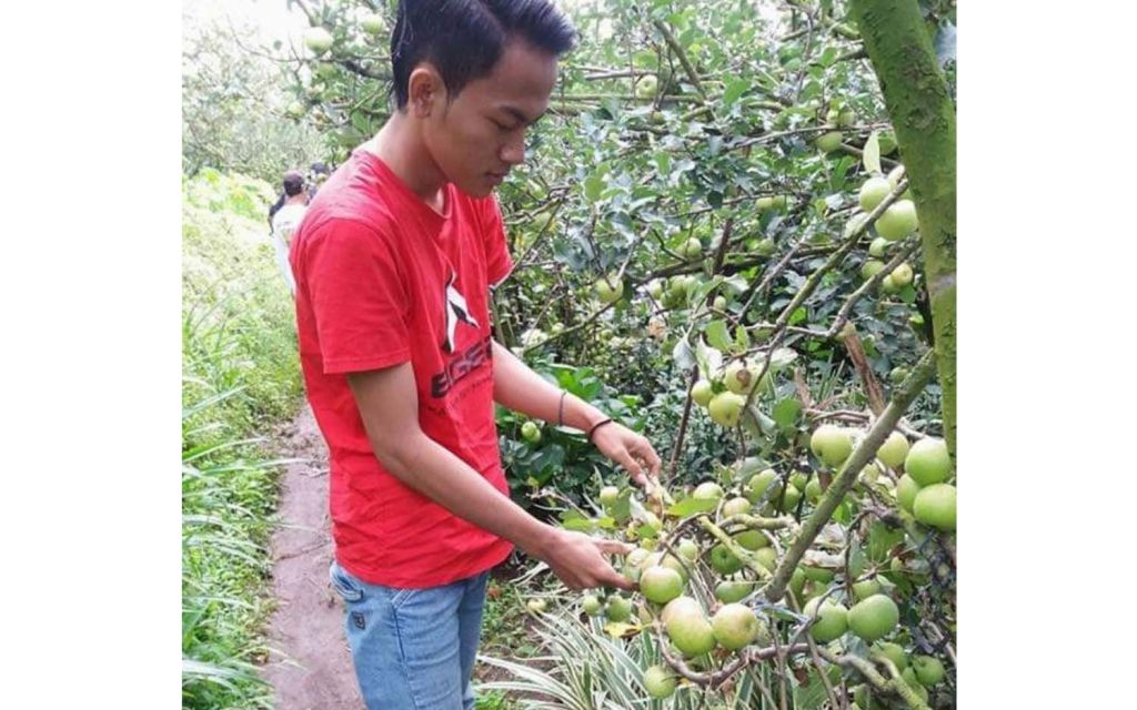 Petani apel di Kota Batu