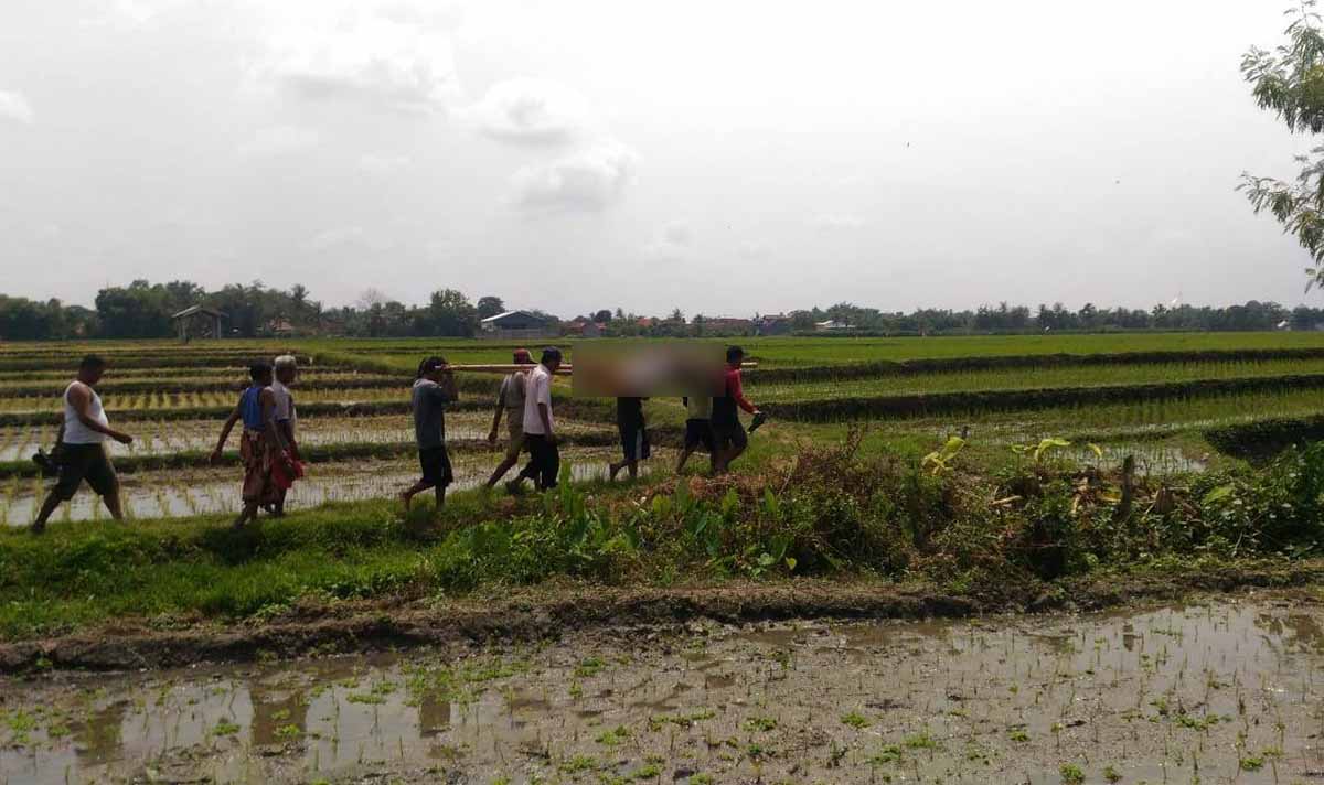 Jasad korban dievakuasi dari sawah