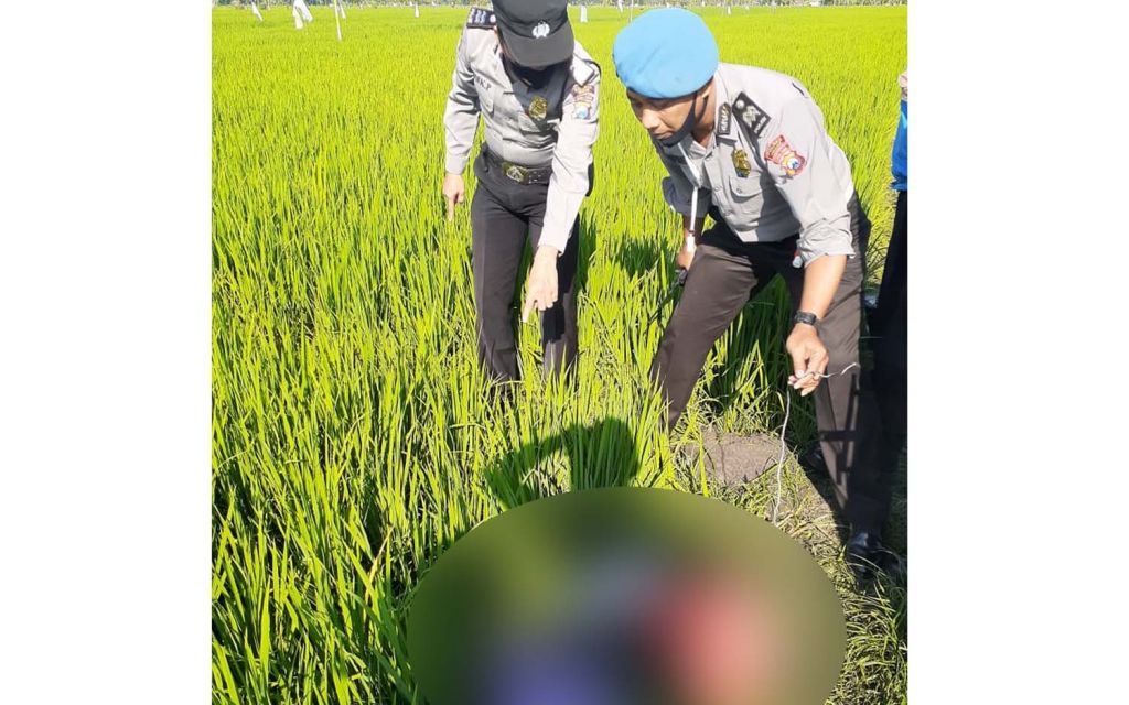 Petani di Ngawi tewas tersengat listrik jebakan tikus